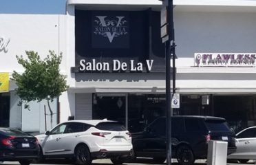 Salon De La V